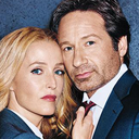 lotsandlotsoffiles avatar