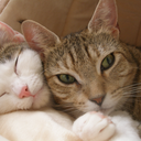 lottaryuryu-blog avatar