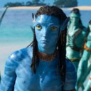 lotusblossomed avatar