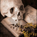 lotusflower-esq avatar