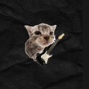 lotusssflower avatar