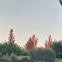 lou-is-just-a-dream avatar