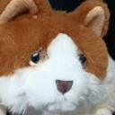 lou-rankin-friends-sasha-the-cat avatar