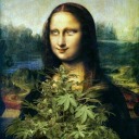 louca-de-erva avatar