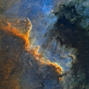 loudhousestuff avatar