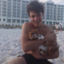 louisisthedeathofme avatar