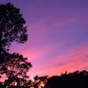 louist-hedgehogking avatar