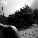 louloudomorfh avatar