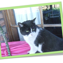 loulouflowerpower avatar