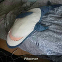 lousyventriloquist avatar