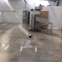 lovaticandbelieberforever avatar