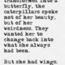 lovaticlovely avatar