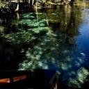 lovatobostinha avatar