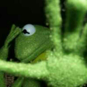 lovbhobi-archive-blog avatar