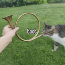 love-and-be-loved avatar