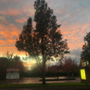 love-and-light avatar