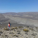 love-bleed-and-ship avatar