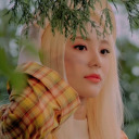 love-is-four-walls avatar