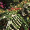 love-is-freee avatar