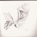 love-is-thereason avatar