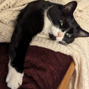 love-like-woee avatar