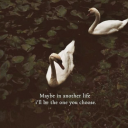 love-live-smile avatar