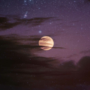 love-luna-lavender avatar