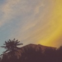 love-me-91393 avatar