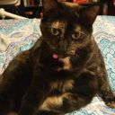 love-me-some-pie21 avatar