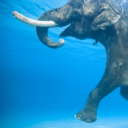 love-mesome-me avatar