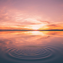 love-nature-art avatar