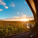 love-others-despite-differences avatar