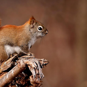 love-respect-earth avatar