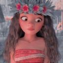 love-the-aesthetics avatar