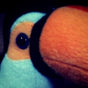 love-toucan-blog avatar