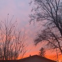 love-walkingonsunshine avatar