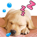 love19931209-blog avatar