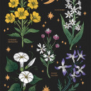 loveable-destruction avatar