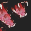 loveandconsumption avatar