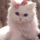 loveandlightangel1111 avatar