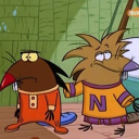 loveangrybeavers avatar