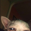 lovebugagain47 avatar