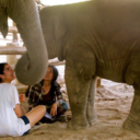 lovechang-blog avatar