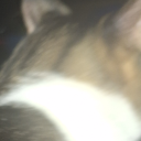 lovedbutnotliked1 avatar