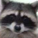 lovedogwithablog avatar