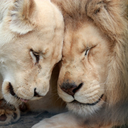 loveeisintheair avatar