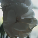 loveellamae-blog avatar