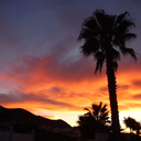 loveforedition avatar