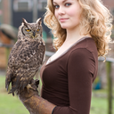 loveforowls avatar