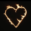 lovefrombegonia avatar